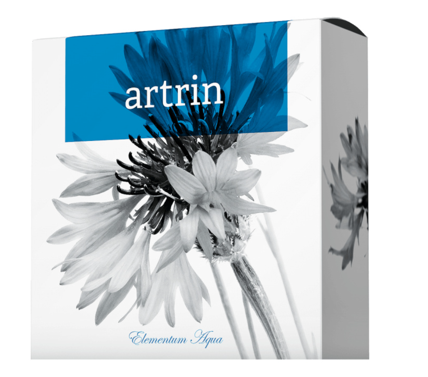 Snímek obrazovky 2023-11-21 v 12.33.00